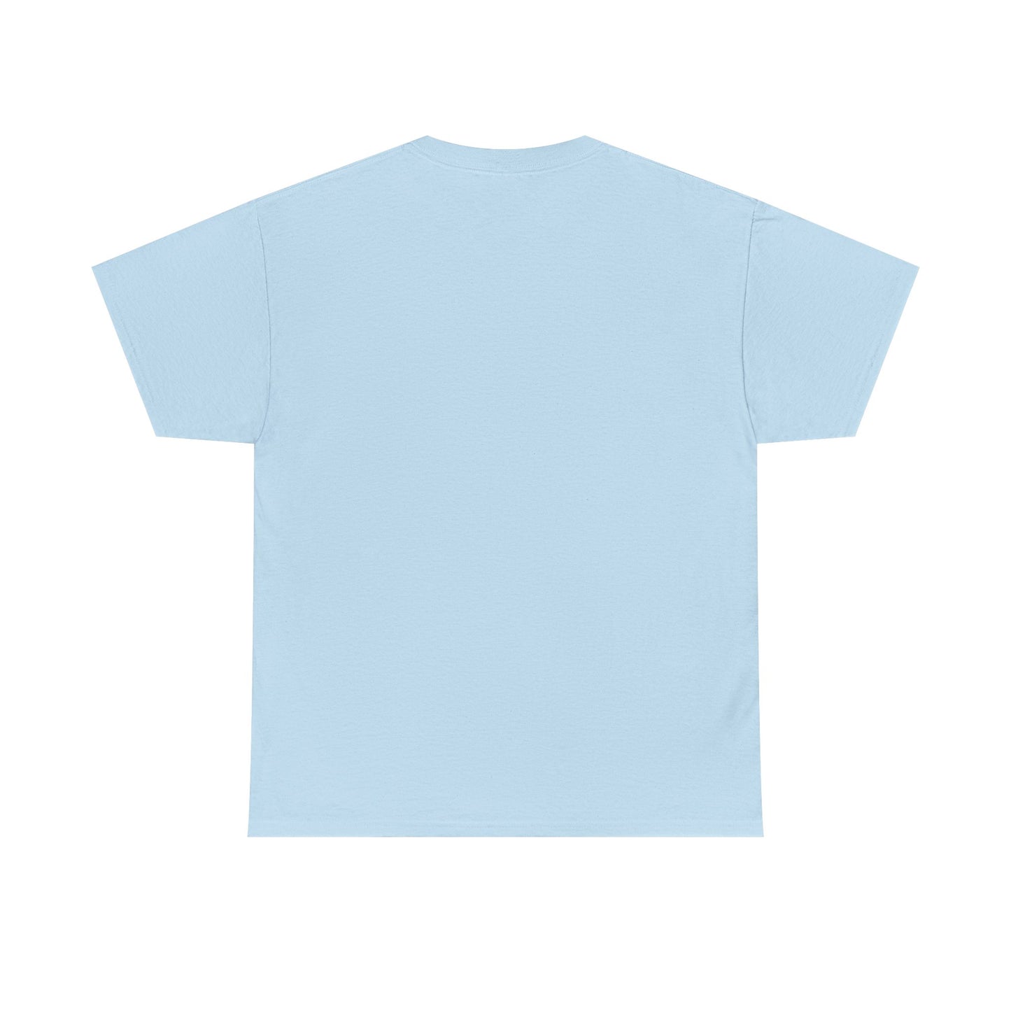 The Earth is Flat T-Shirt