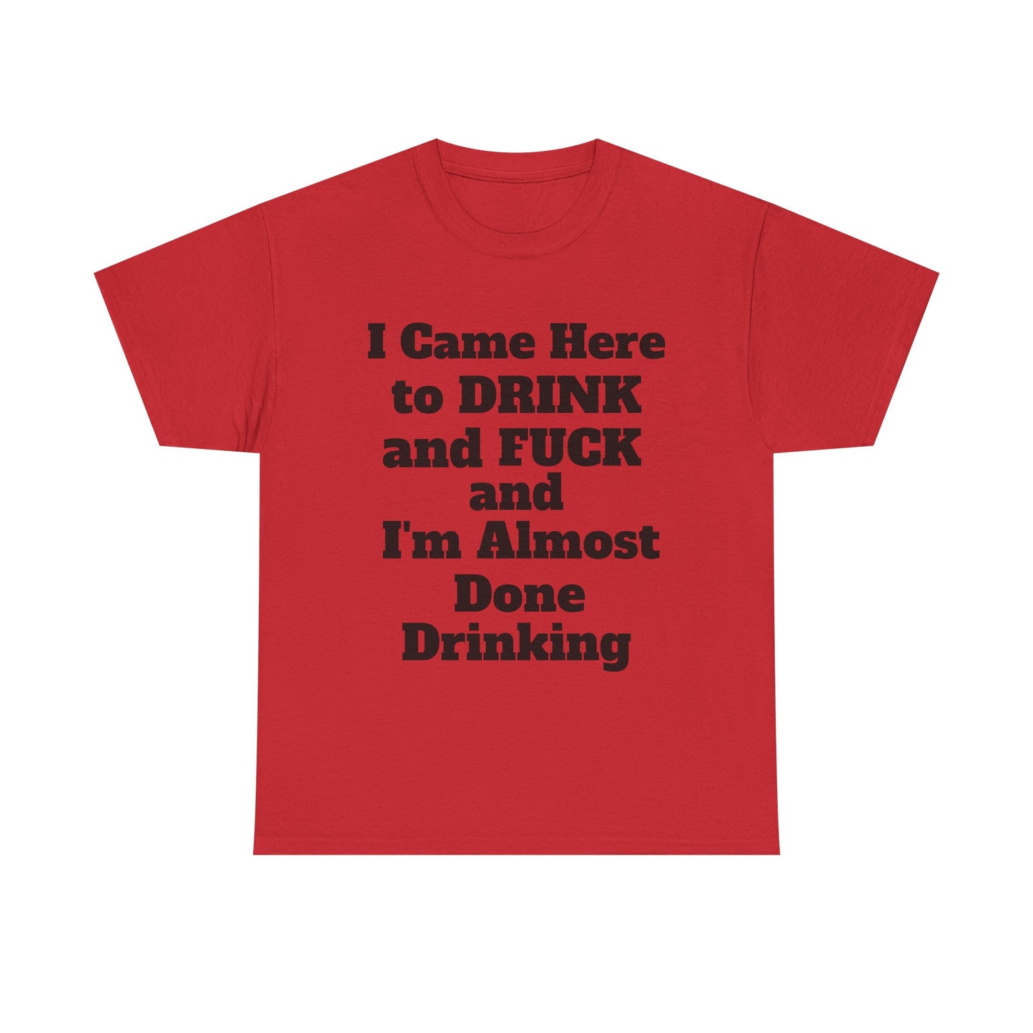I came here to drink and fuck and I'm almost done Drinking T-Shirt